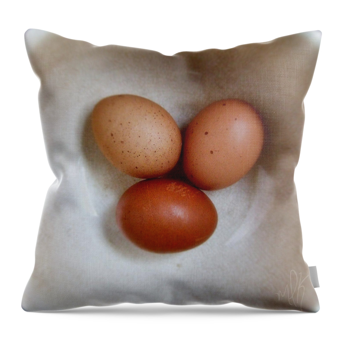 Food Throw Pillow featuring the photograph Three Brown Eggs by Louise Kumpf