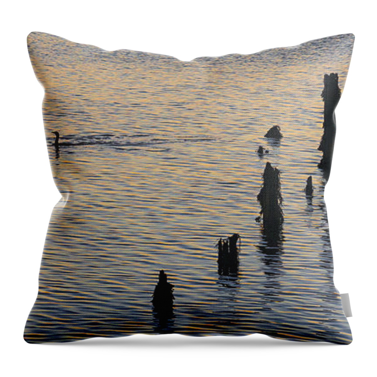Cormorants Throw Pillow featuring the photograph Three Cormorants by Marty Saccone