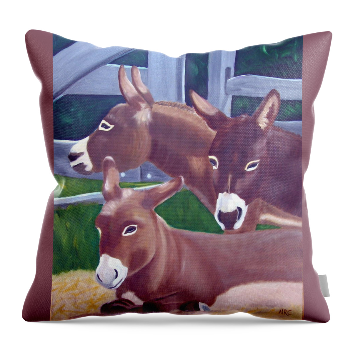 Donkey Throw Pillow featuring the photograph Three Donkeys by Natalie Rotman Cote
