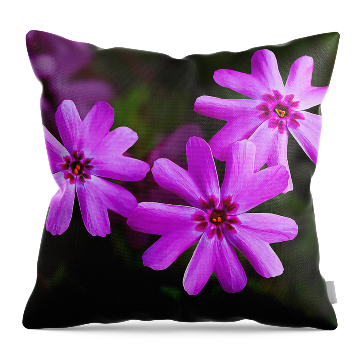 Nature Throw Pillow featuring the photograph Three in the Pink by ABeautifulSky Photography by Bill Caldwell