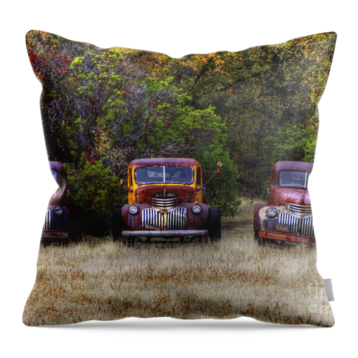 Trucks Photos Throw Pillow featuring the photograph Three Old Friends by Kandy Hurley