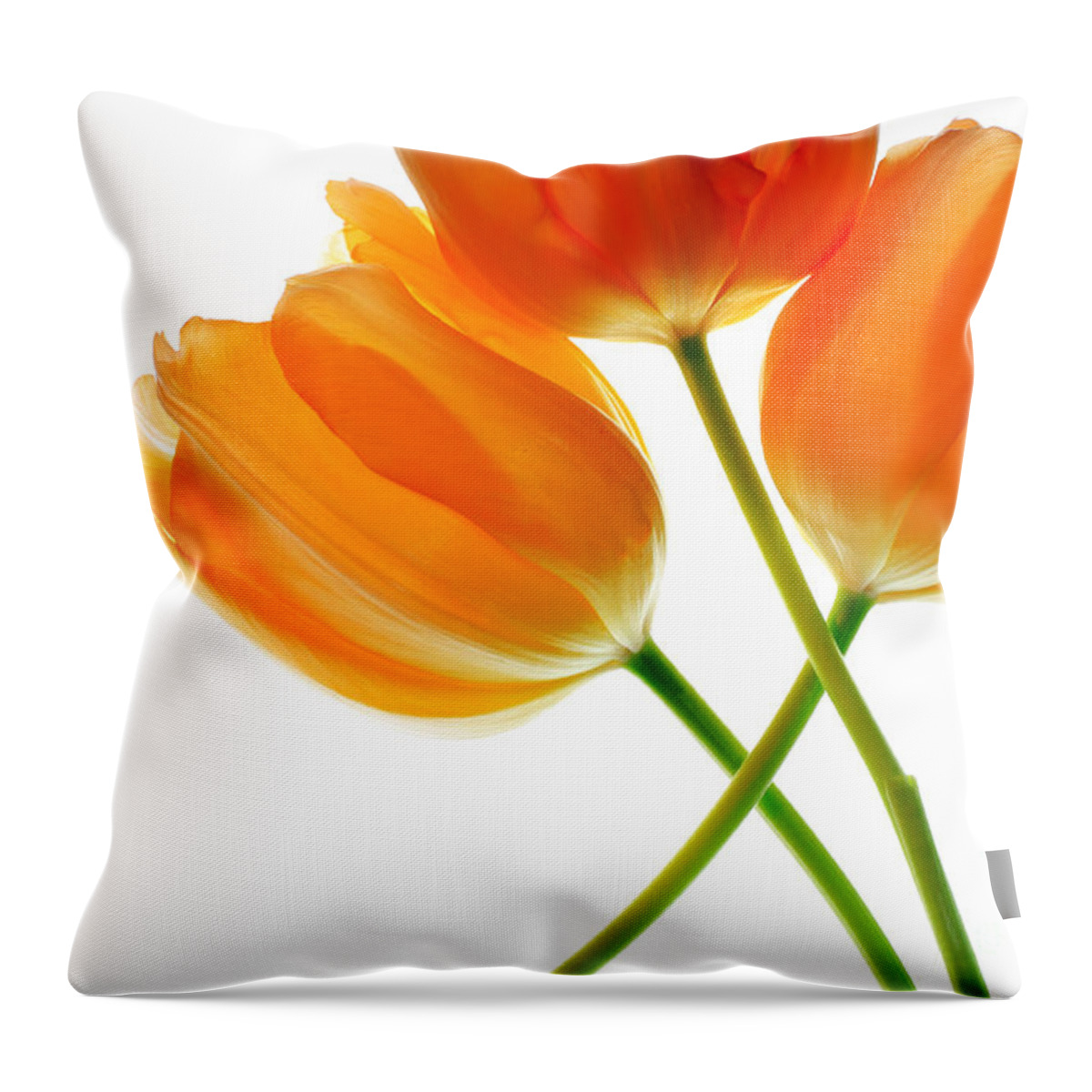 Tulip Throw Pillow featuring the photograph Three Orange Tulip Flowers 4 by Charline Xia