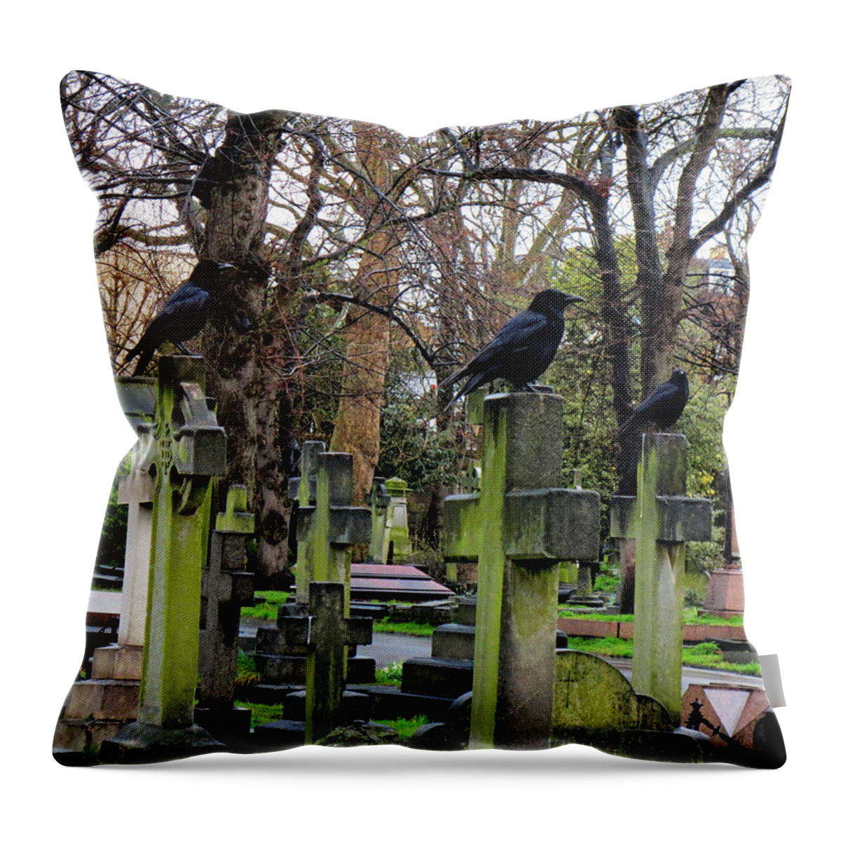 Brompton Cemetery Throw Pillow featuring the photograph Three Ravens by Gia Marie Houck