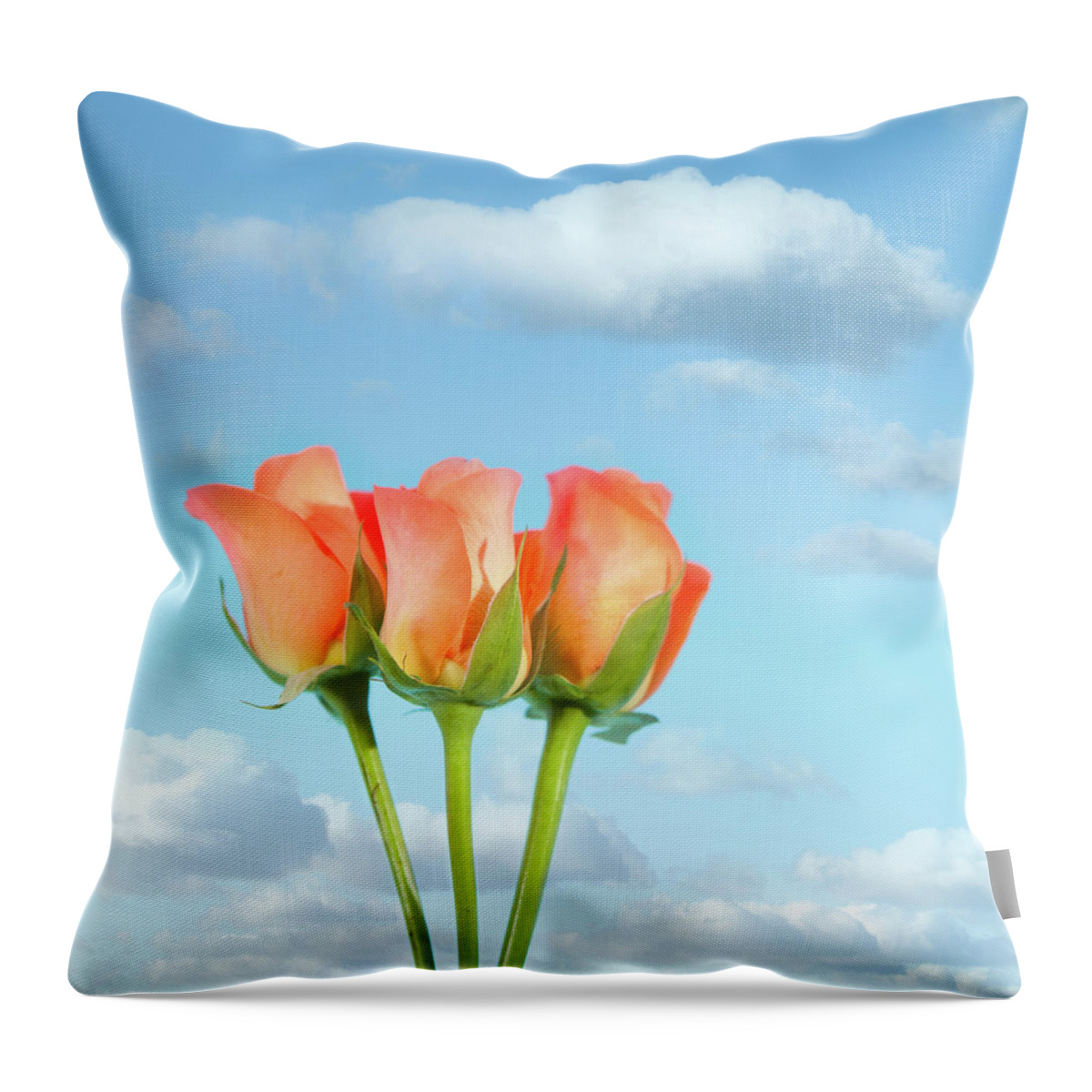 Orange Color Throw Pillow featuring the photograph Three Roses by Peter Chadwick Lrps