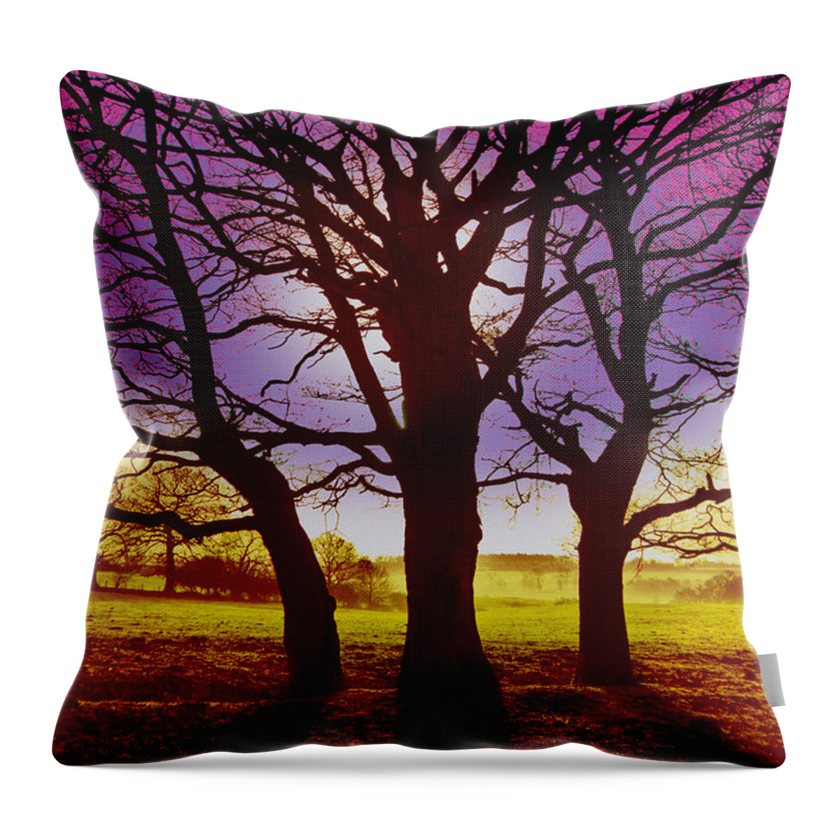 Landscape Throw Pillow featuring the digital art Three Trees by David Davies