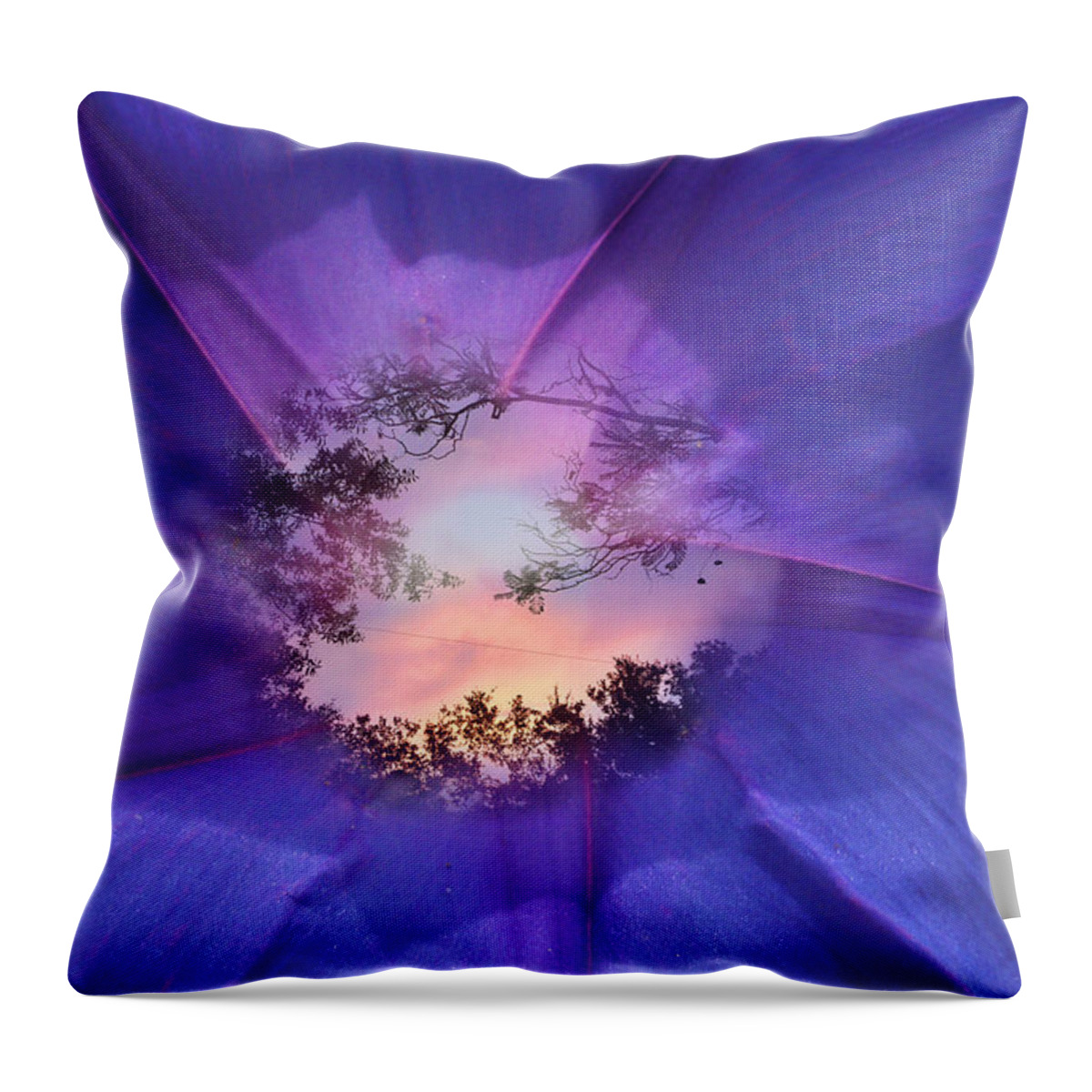 Morning Throw Pillow featuring the photograph Through a Morning Glory by Ginny Schmidt