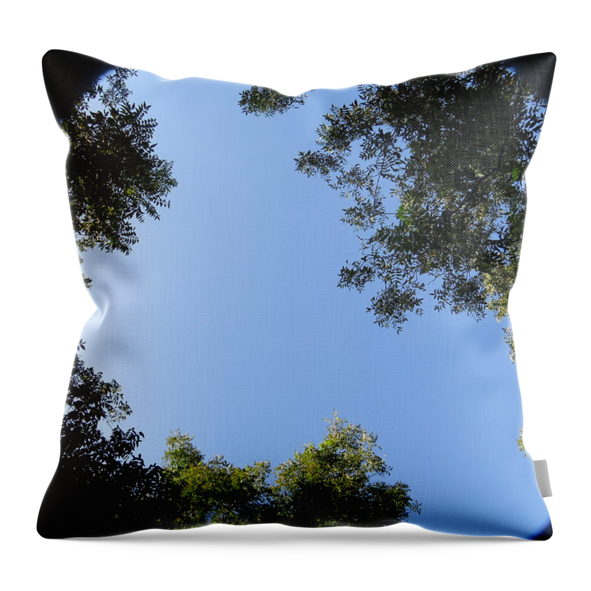 Sky Throw Pillow featuring the photograph Through Short Eyes by Aaron Martens
