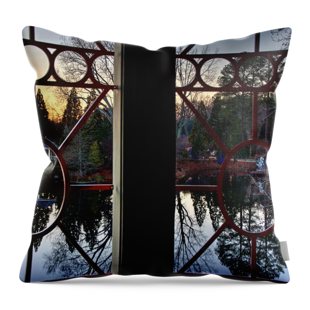 Evening Throw Pillow featuring the photograph Through the Bars by Dimitry Papkov