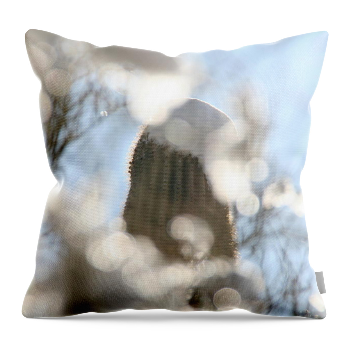 Southwest Throw Pillow featuring the photograph Through The Ice by David S Reynolds