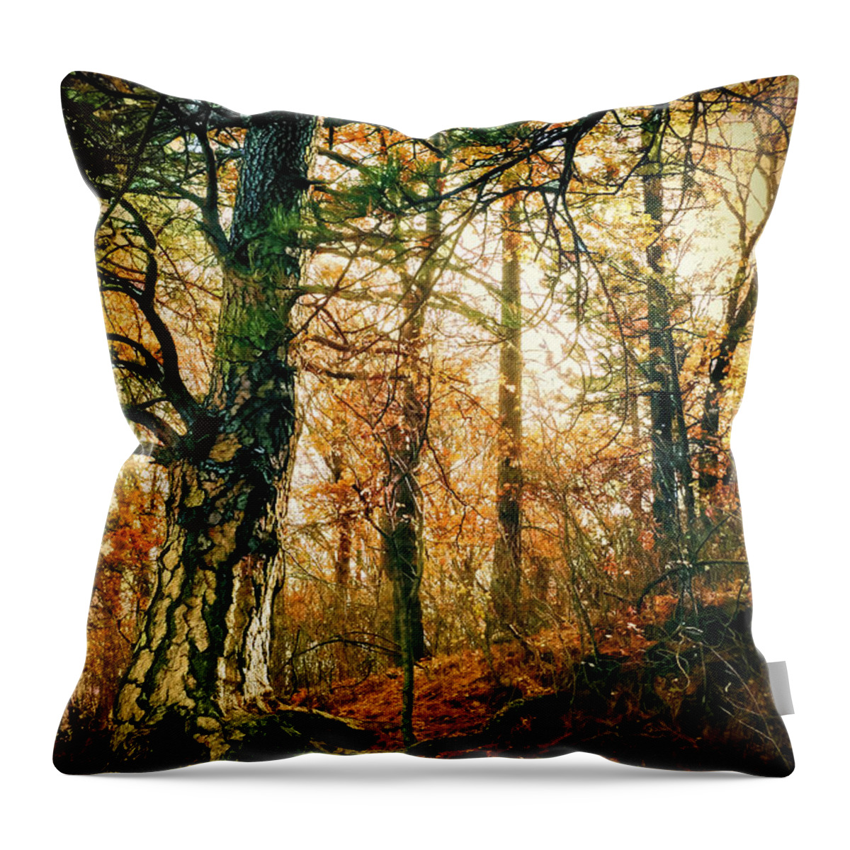 Nature Throw Pillow featuring the photograph Through the Island Forest by Douglas MooreZart
