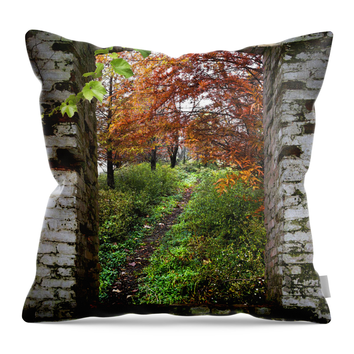 Appalachia Throw Pillow featuring the photograph Through the Window by Debra and Dave Vanderlaan