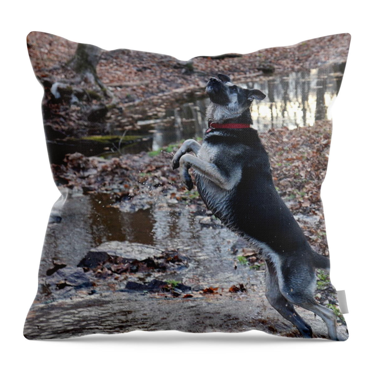 German Throw Pillow featuring the photograph Throwing Stones by David Rucker