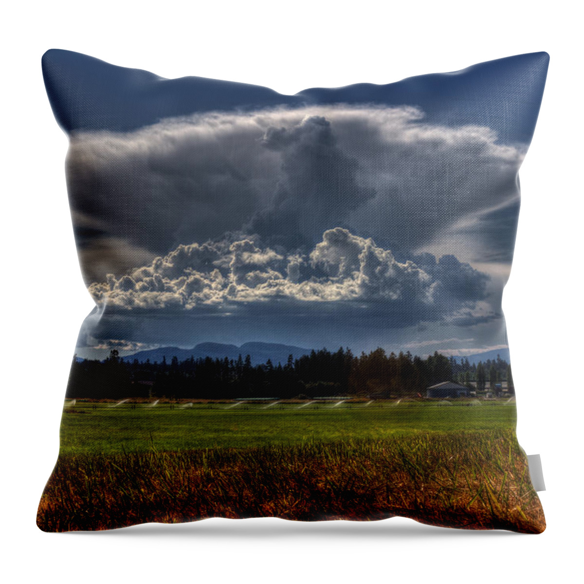 Storm Throw Pillow featuring the photograph Thunder Storm by Randy Hall