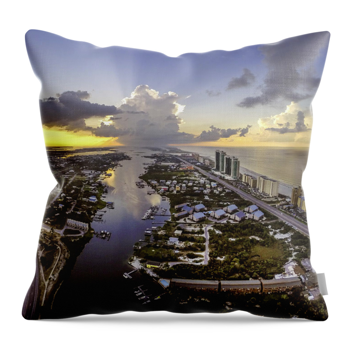 Palm Throw Pillow featuring the digital art Thunderstorm from Cotton Bayou by Michael Thomas
