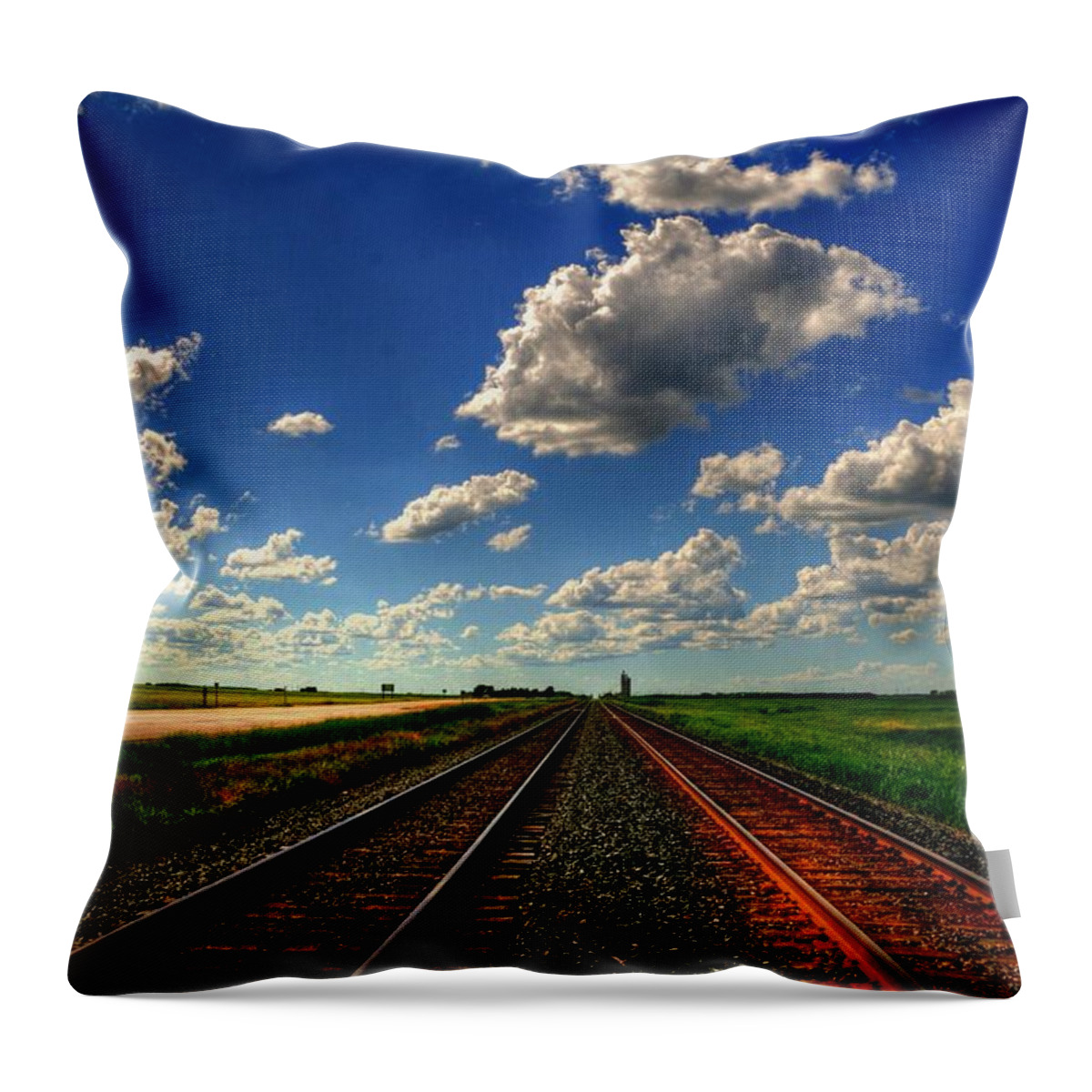 Canada Throw Pillow featuring the photograph Ties That Bind by Larry Trupp