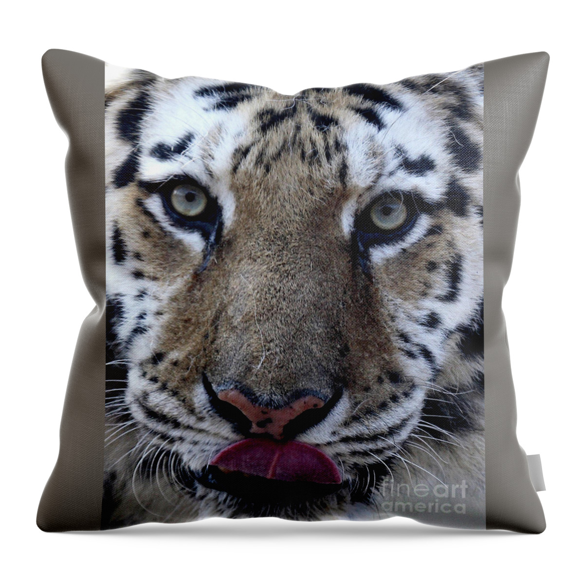 Cat Throw Pillow featuring the photograph Tiger Lick by Karol Livote