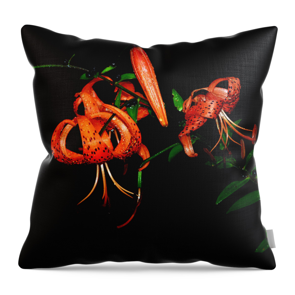 Flowers Throw Pillow featuring the photograph Tiger Lily by Crystal Wightman