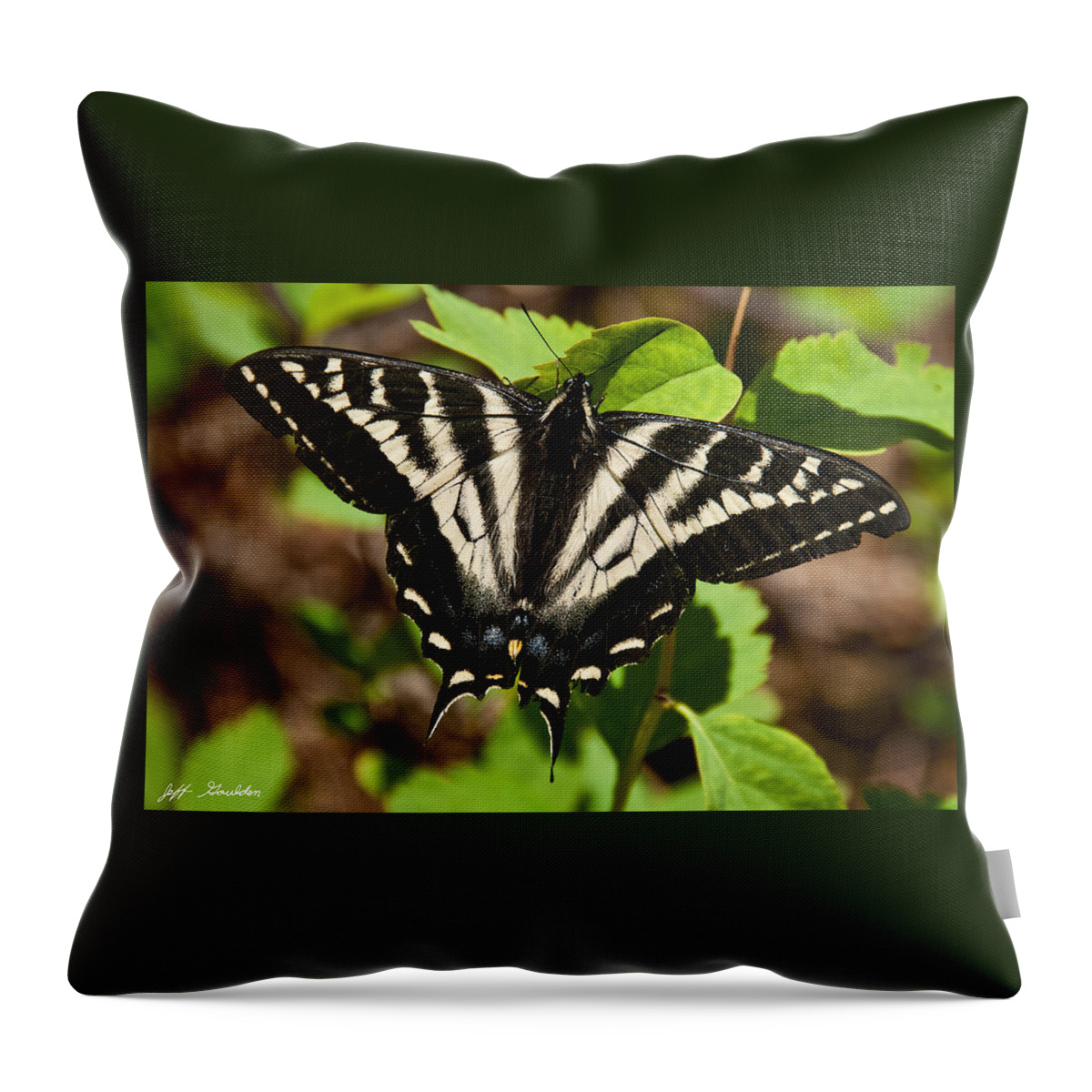 Animal Throw Pillow featuring the photograph Tiger Swallowtail Butterfly by Jeff Goulden