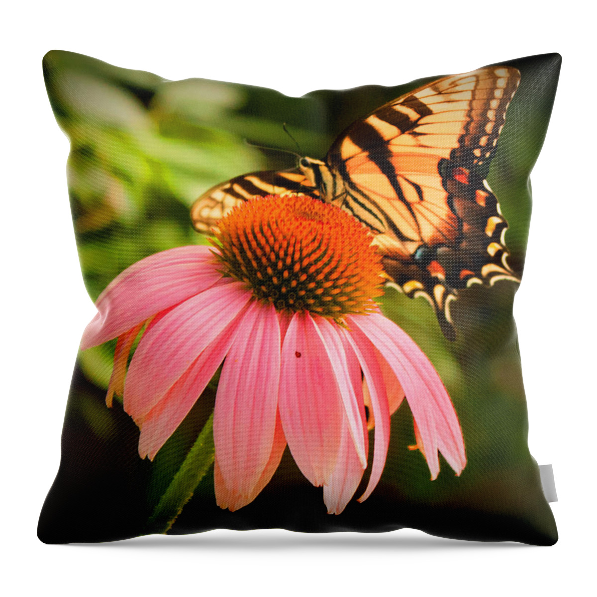 Tiger Swallowtail Butterfly Throw Pillow featuring the photograph Tiger Swallowtail feeding by Michael Porchik