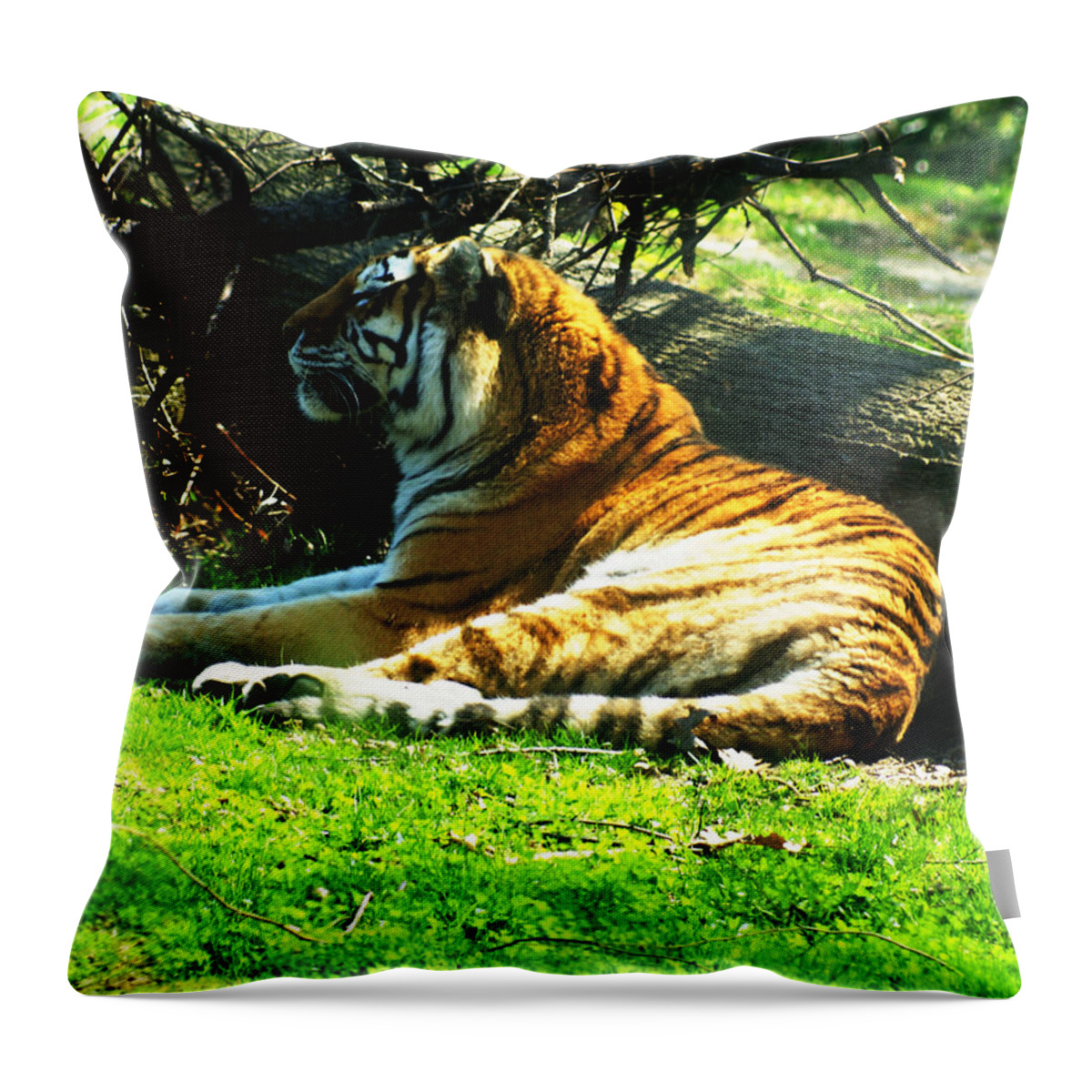 Tiger Throw Pillow featuring the photograph Tiger Too by M Three Photos