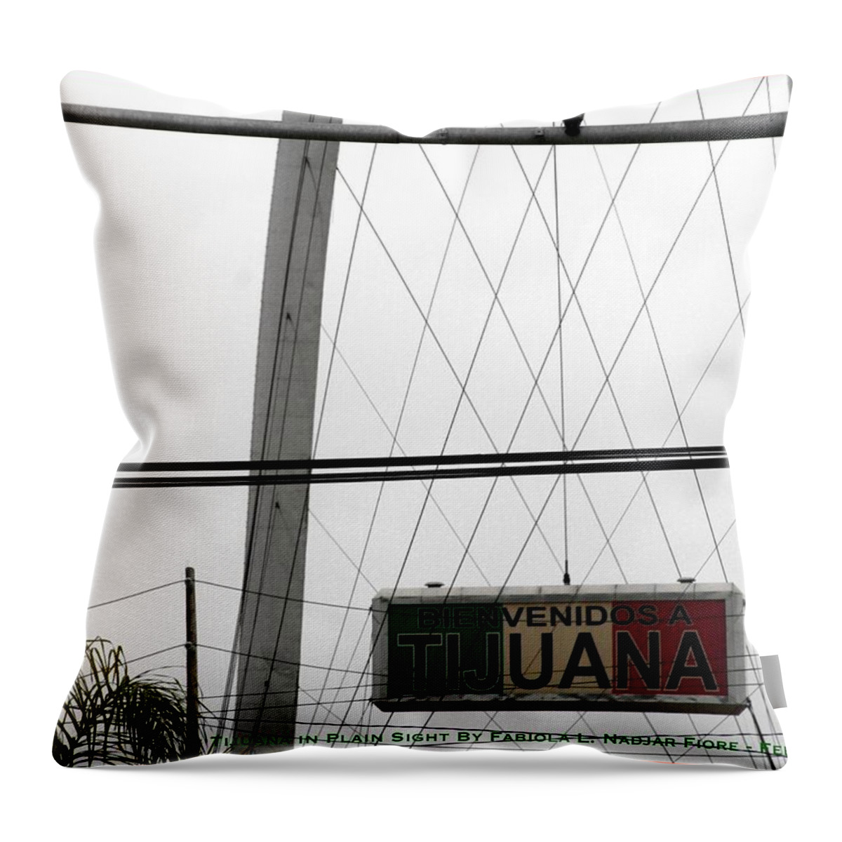 Photography Throw Pillow featuring the photograph Tijuana in Plain Sight by Fabiola L Nadjar Fiore