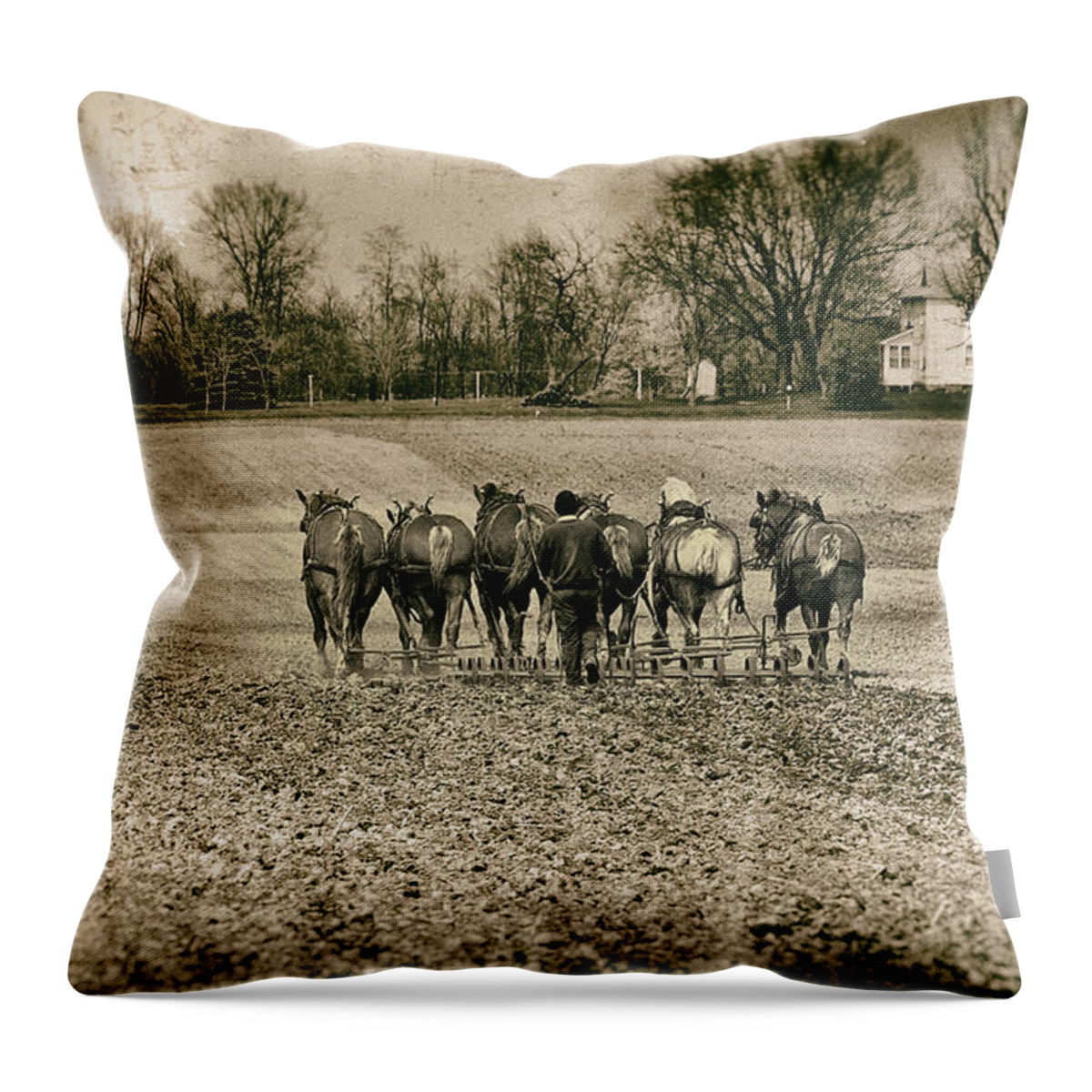 Agriculture Throw Pillow featuring the photograph Tilling the Fields by Tom Mc Nemar