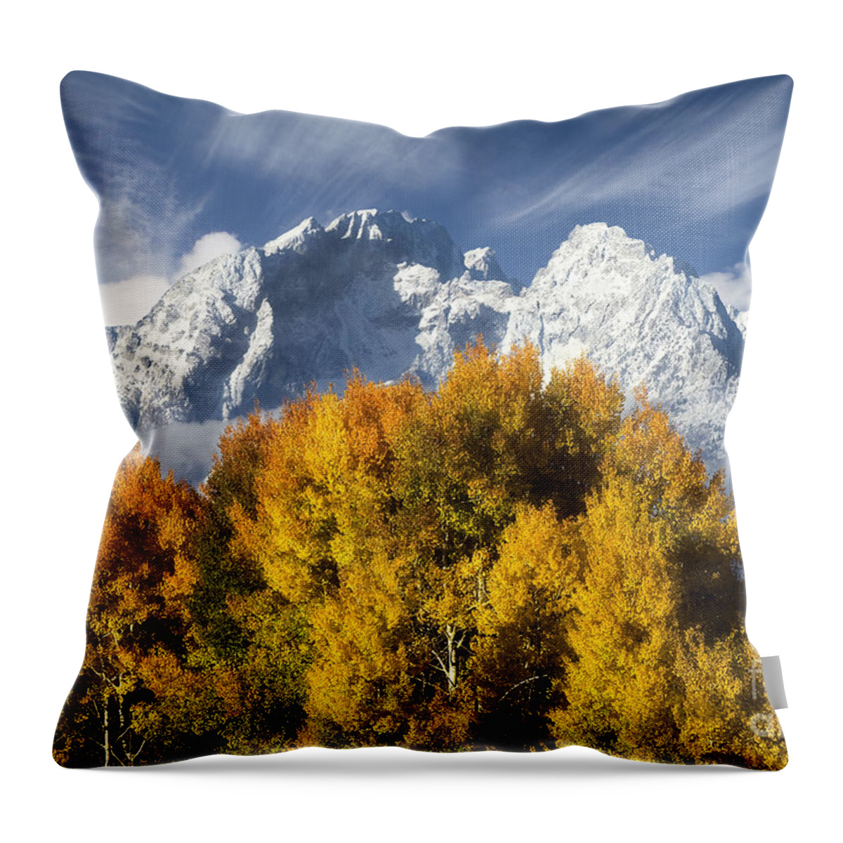 Landscape Throw Pillow featuring the photograph Time for Change by Wildlife Fine Art