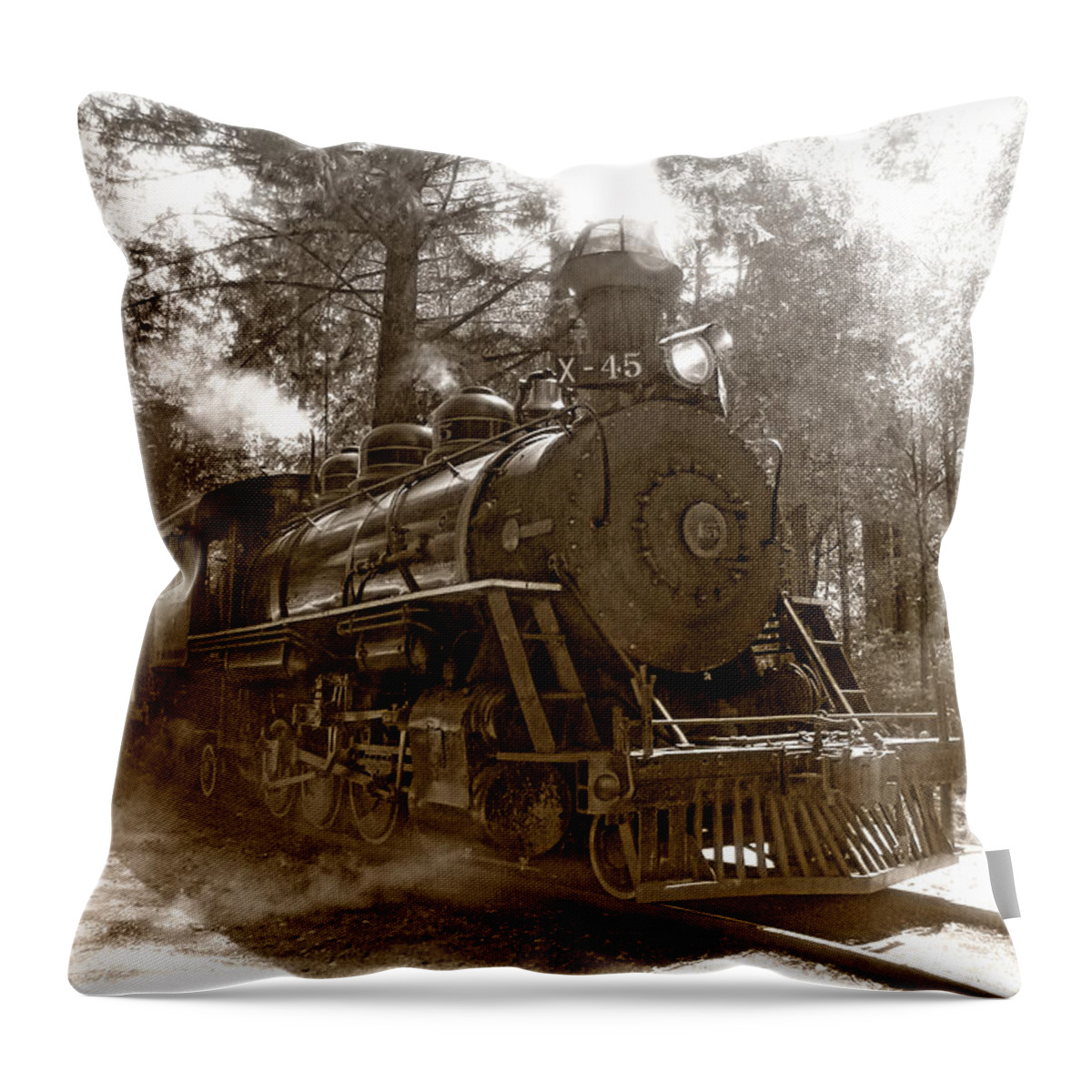 Locomotive Throw Pillow featuring the photograph Time Traveler by Donna Blackhall
