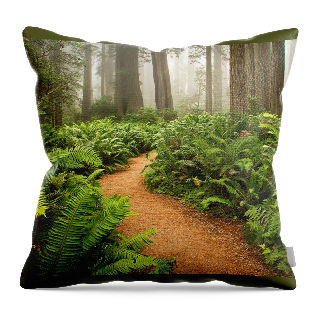 California Throw Pillow featuring the photograph Timeless by Alice Cahill