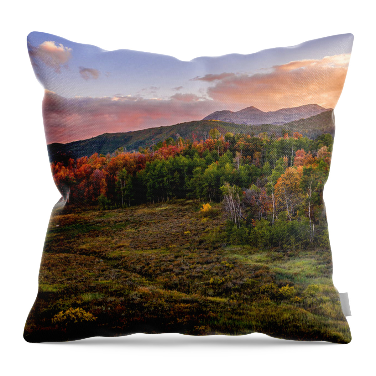 Timp Fall Glow Throw Pillow featuring the photograph Timp Fall Glow by Chad Dutson