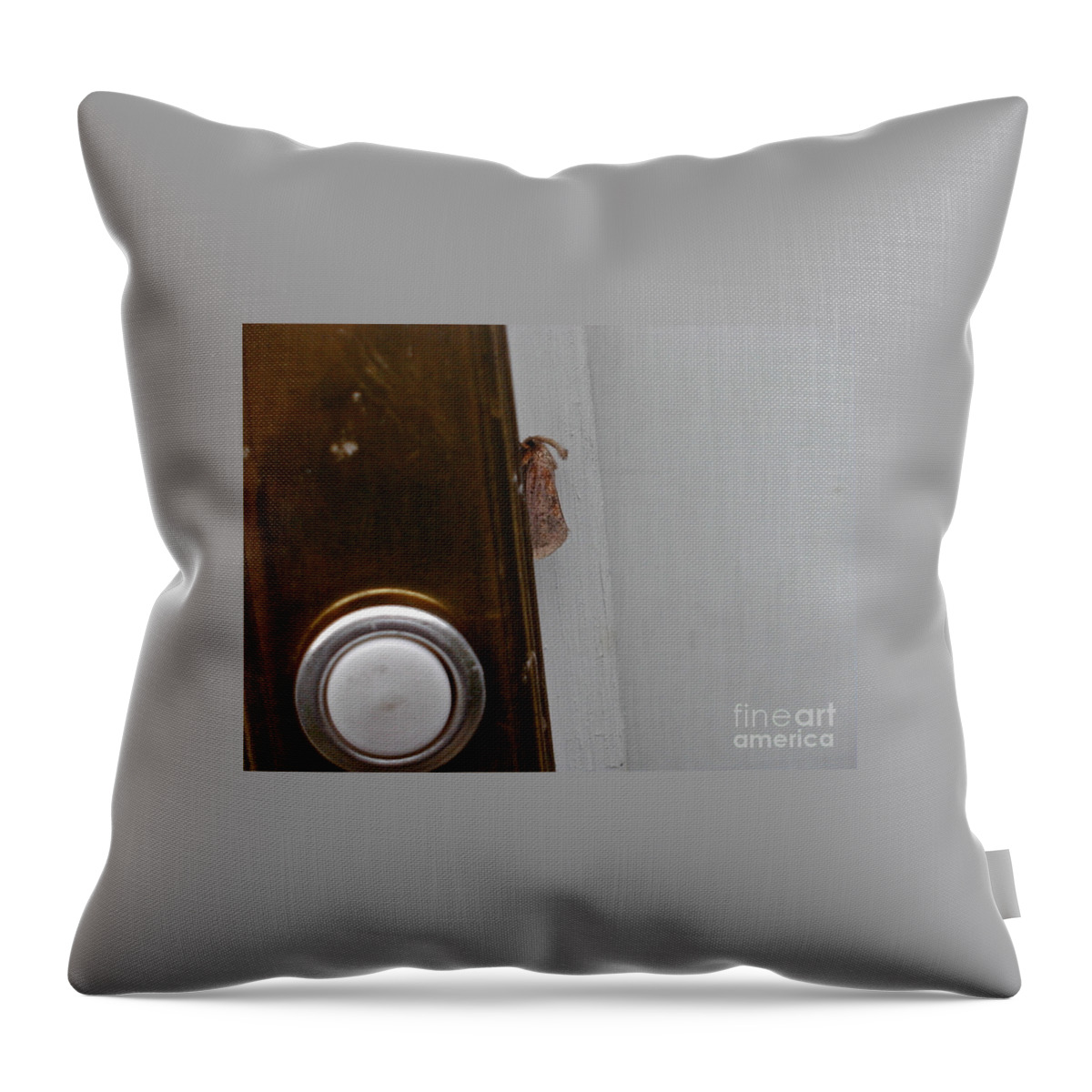 Moths Throw Pillow featuring the photograph Tiny Doorbell Moth by Christopher Plummer