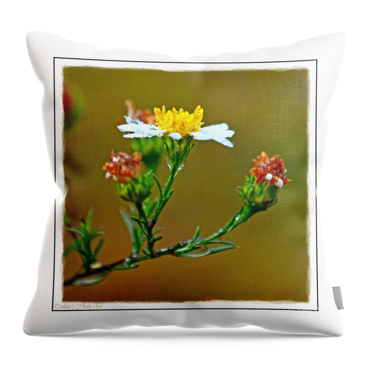 Tiny Throw Pillow featuring the photograph Tiny Wildflowers 1 - White frame by Debbie Portwood