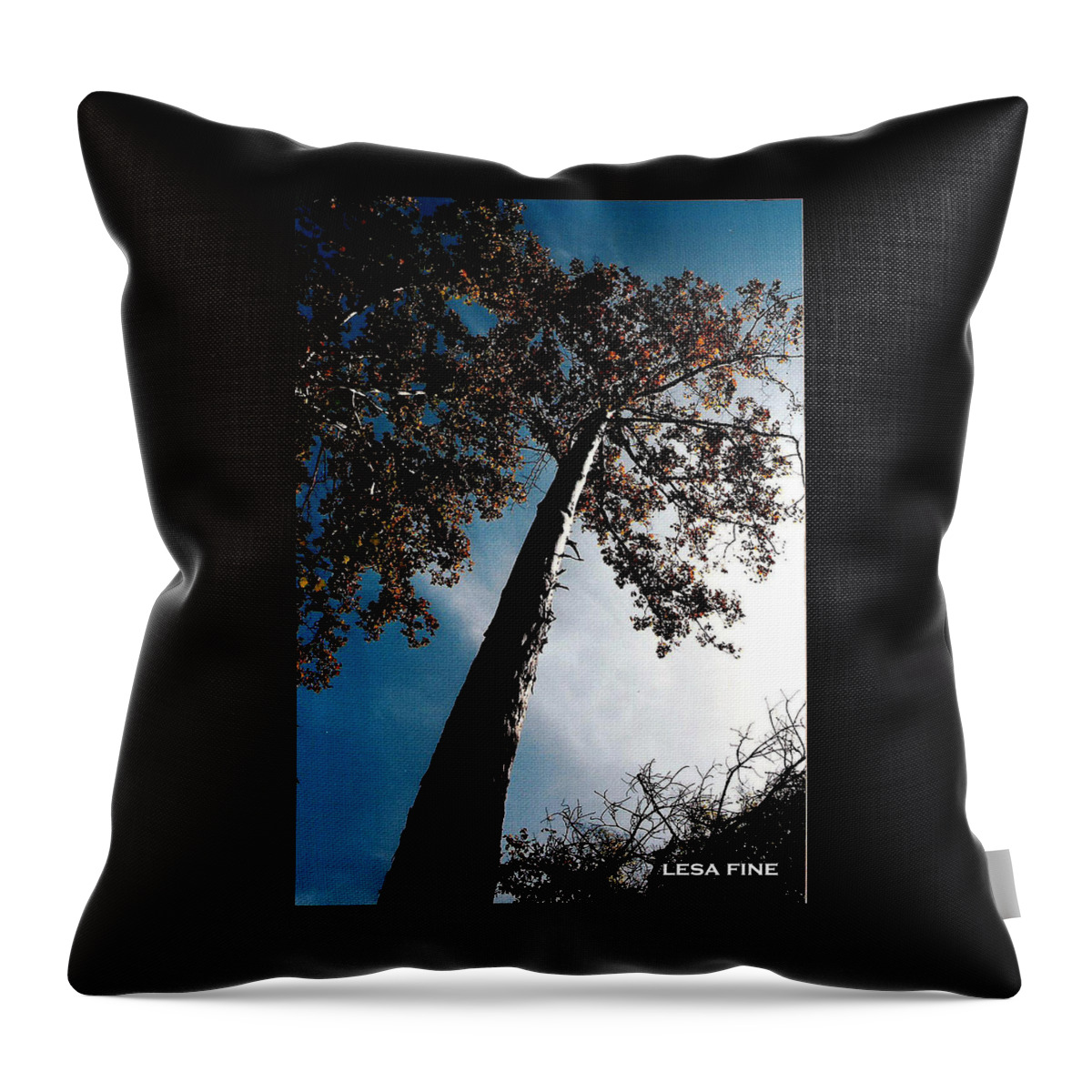 Tree Photography Throw Pillow featuring the photograph Tippy Top Tree Photo by Lesa Fine