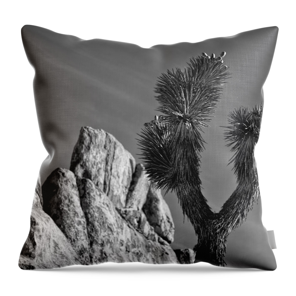 Black & White Throw Pillow featuring the photograph Tips by Peter Tellone