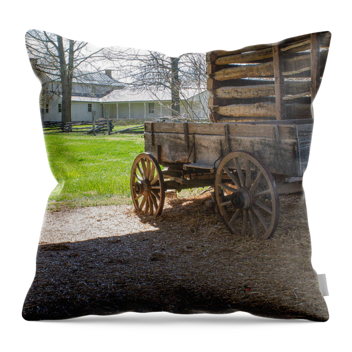 Tipton-hayes Throw Pillow featuring the photograph Tipton Hayes Wagon 1 by Douglas Barnett
