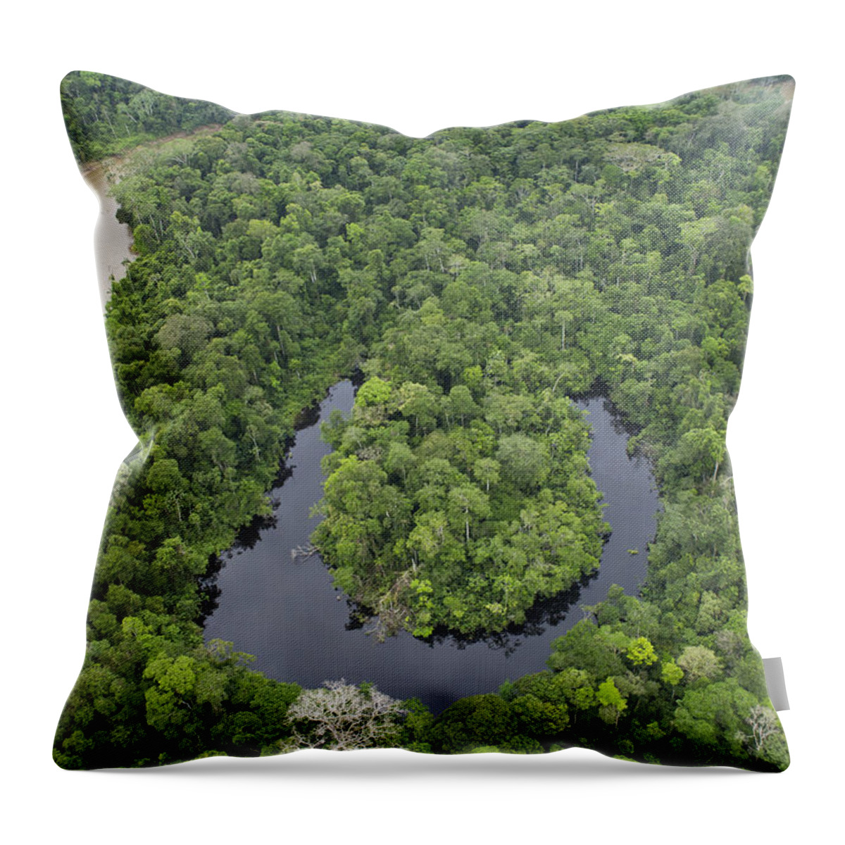 Feb0514 Throw Pillow featuring the photograph Tiputini River And Oxbow Lake Yasuni by Pete Oxford