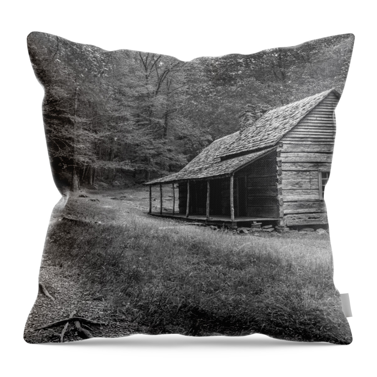 Horizontal Throw Pillow featuring the photograph Tired and Weathered by Jon Glaser