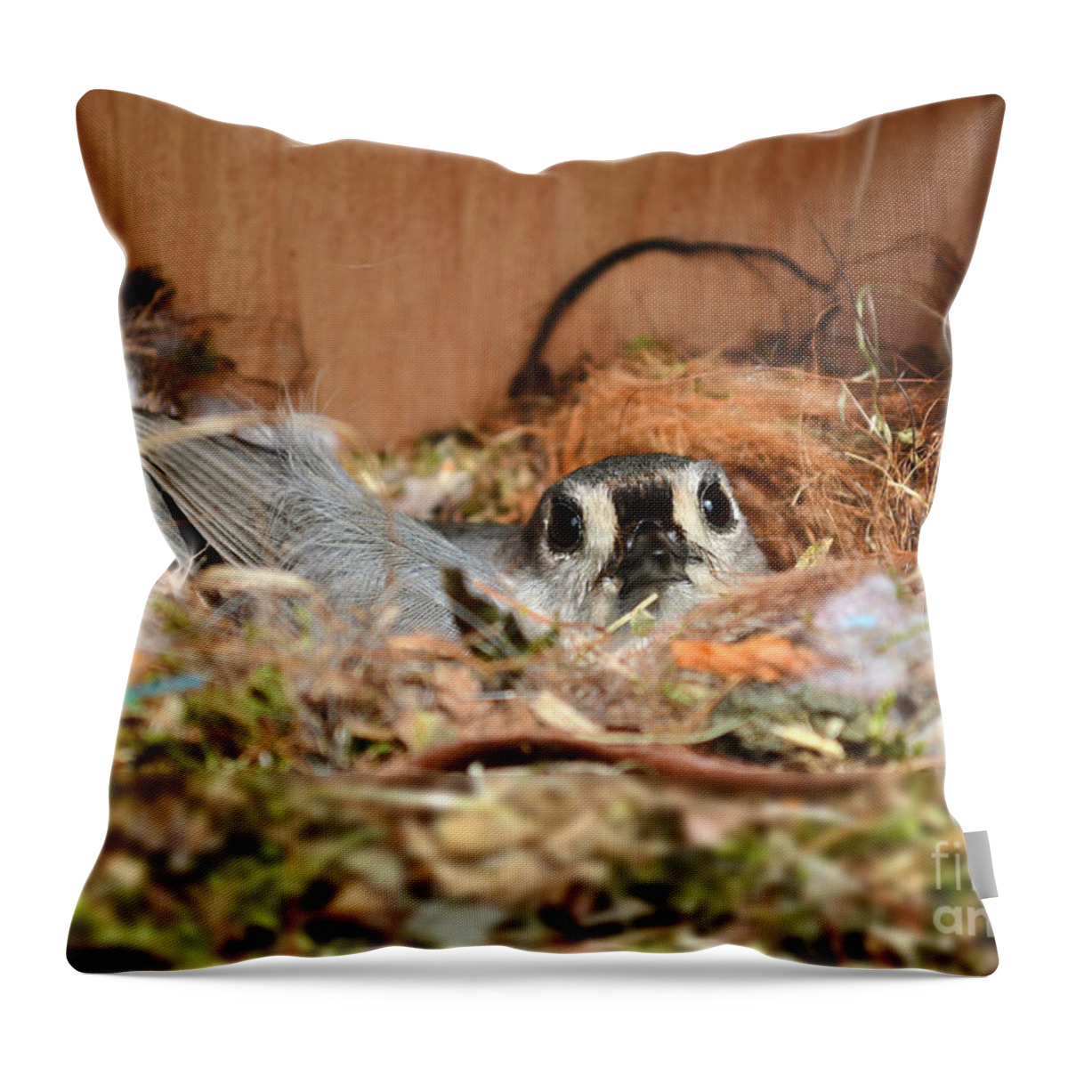 Titmouse Throw Pillow featuring the photograph Titmouse Nesting by Kathy Baccari
