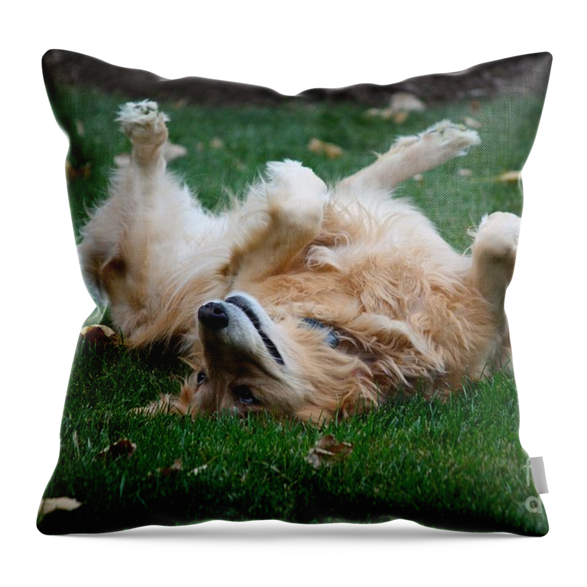 Dog Throw Pillow featuring the photograph To Be A Dog by Veronica Batterson