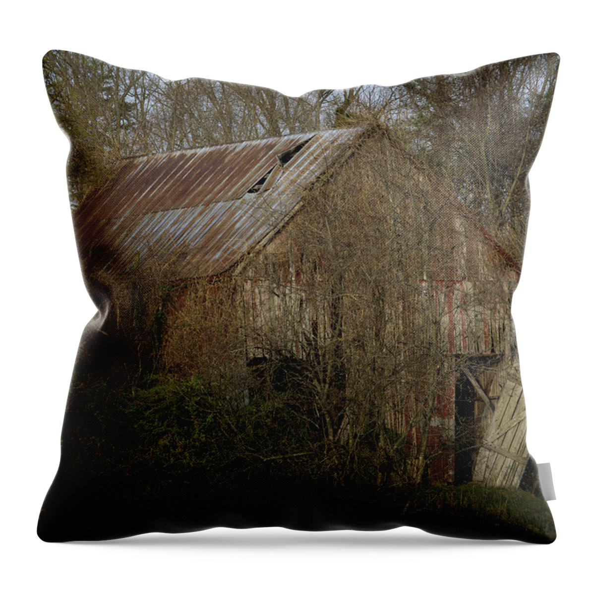 Red Barn Throw Pillow featuring the photograph To Be Versed in Country Things by Rebecca Sherman