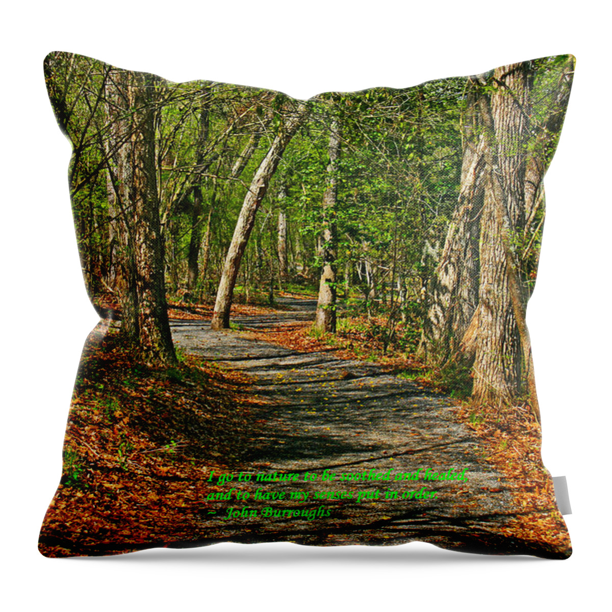 Quote Throw Pillow featuring the photograph To sooth the soul by Andy Lawless