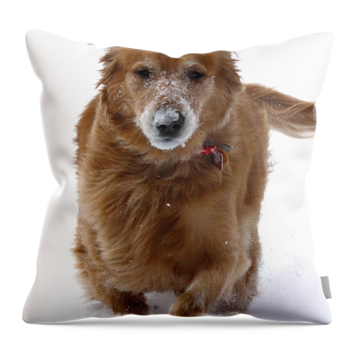 Golden Retriever Throw Pillow featuring the photograph To the Rescue by Veronica Batterson