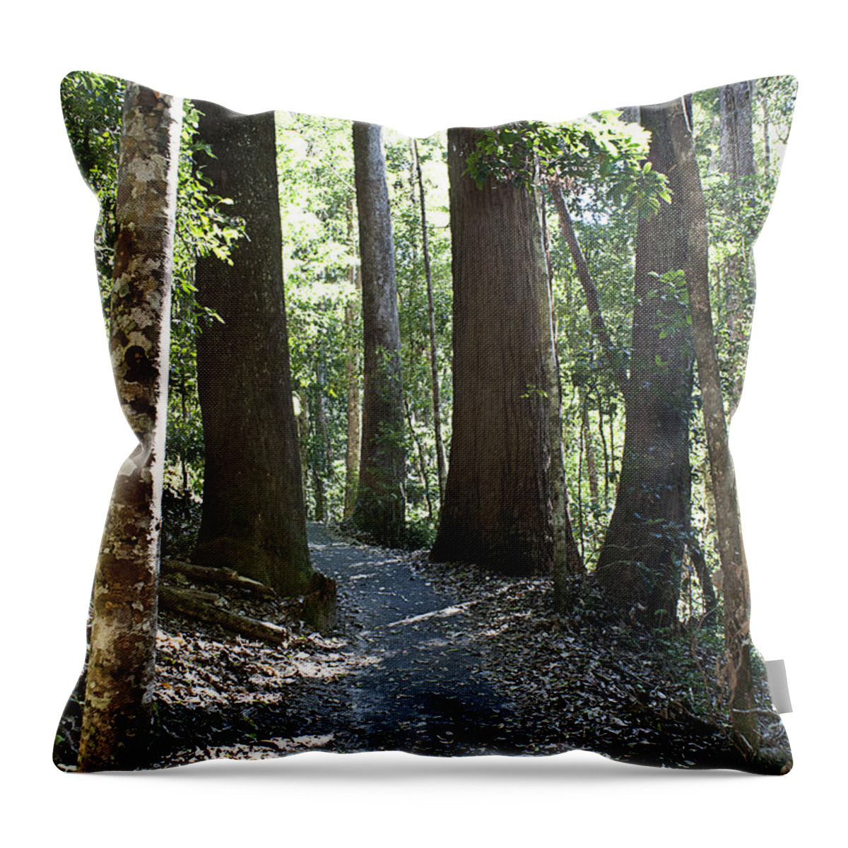 Trees Throw Pillow featuring the photograph To walk among giants by Linda Lees