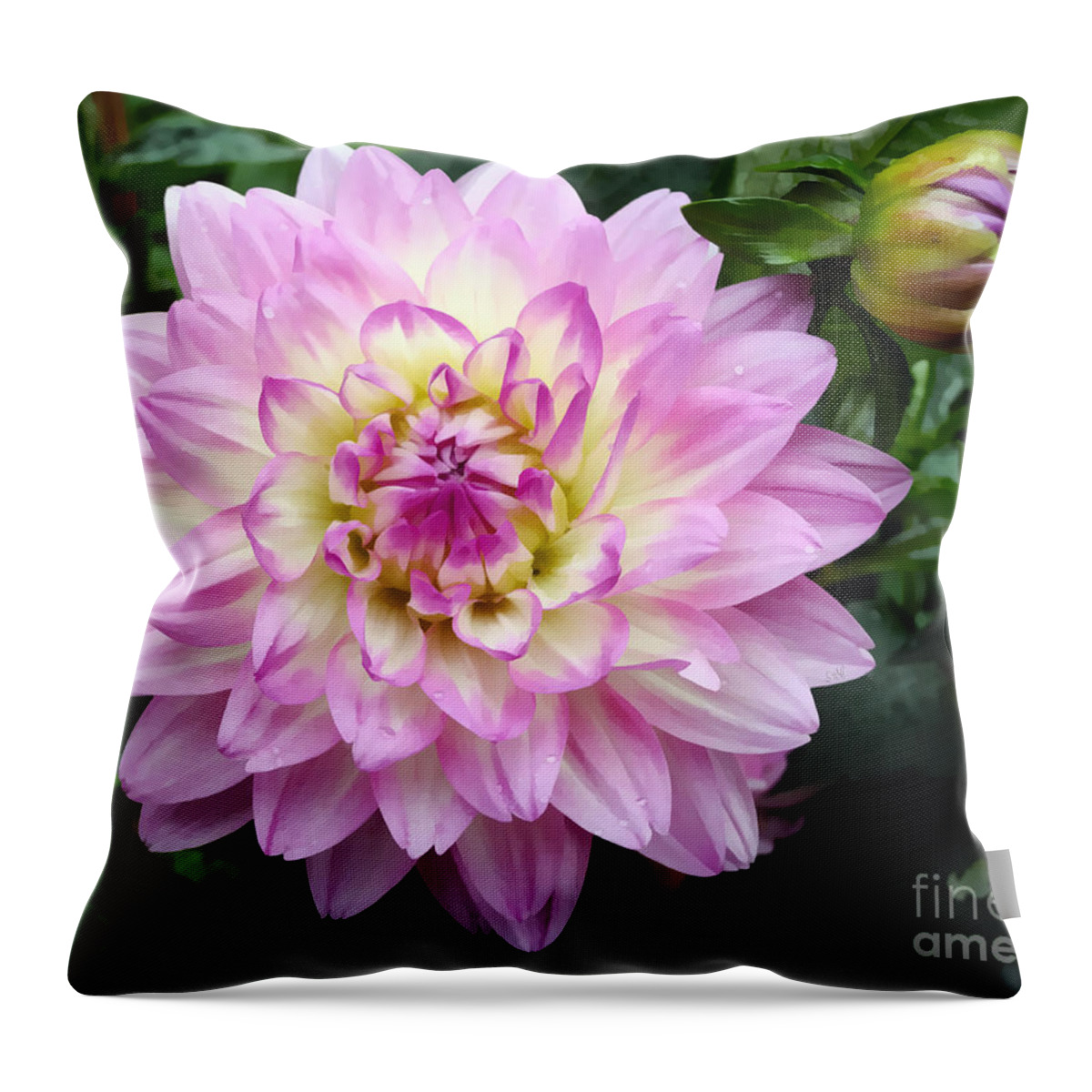 Landscape Throw Pillow featuring the photograph Today and tomorrow by Sami Martin
