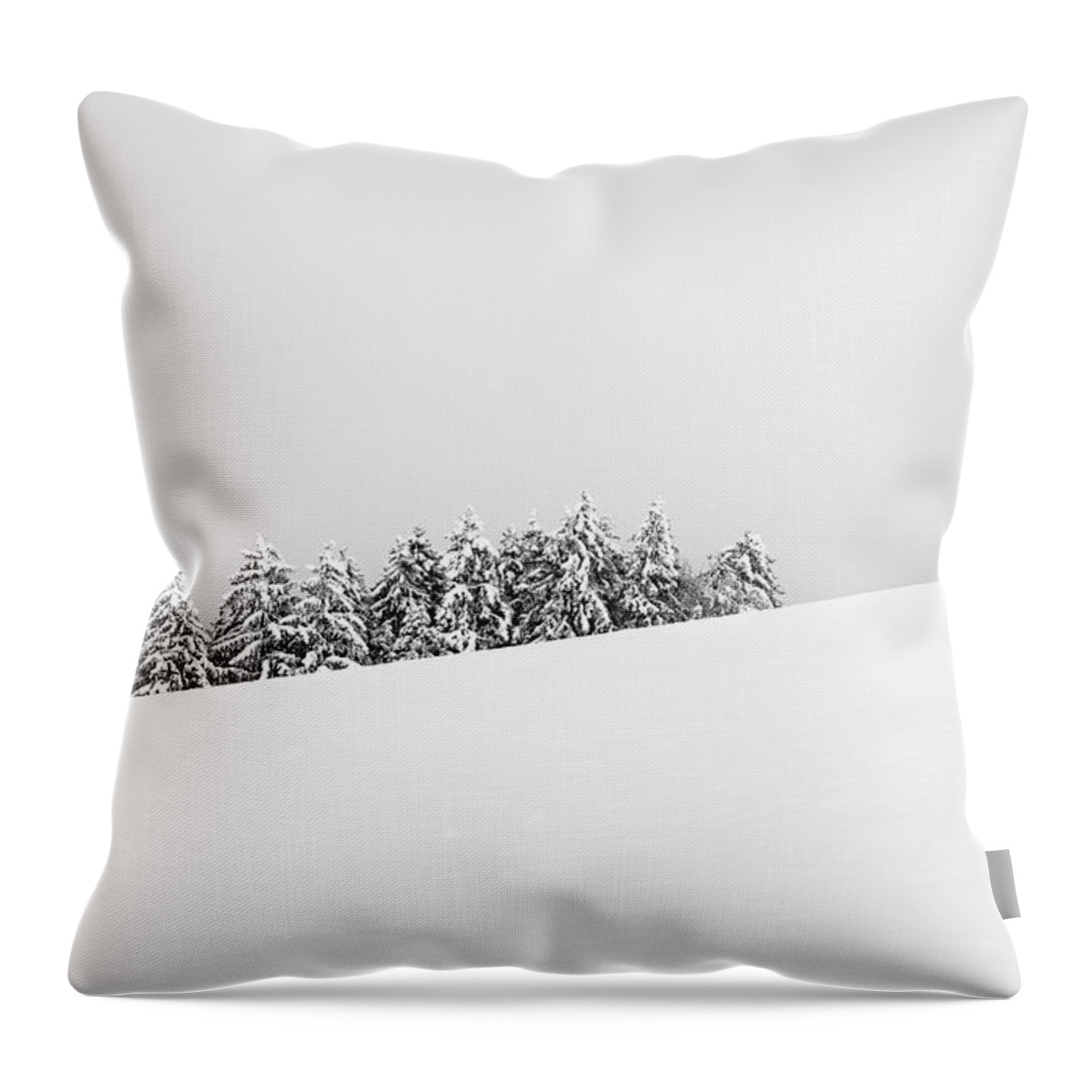 Winter Throw Pillow featuring the photograph Together II by Dominique Dubied