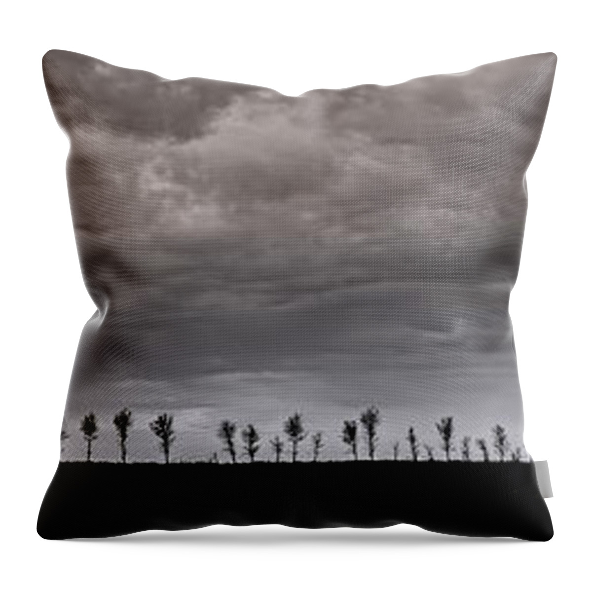 Panorama Throw Pillow featuring the photograph Together We Shall Stand by Sandra Parlow