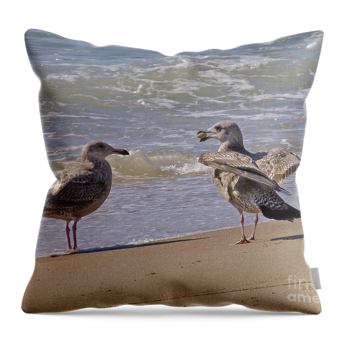 Gull Throw Pillow featuring the photograph Token of Affection by Dee Flouton