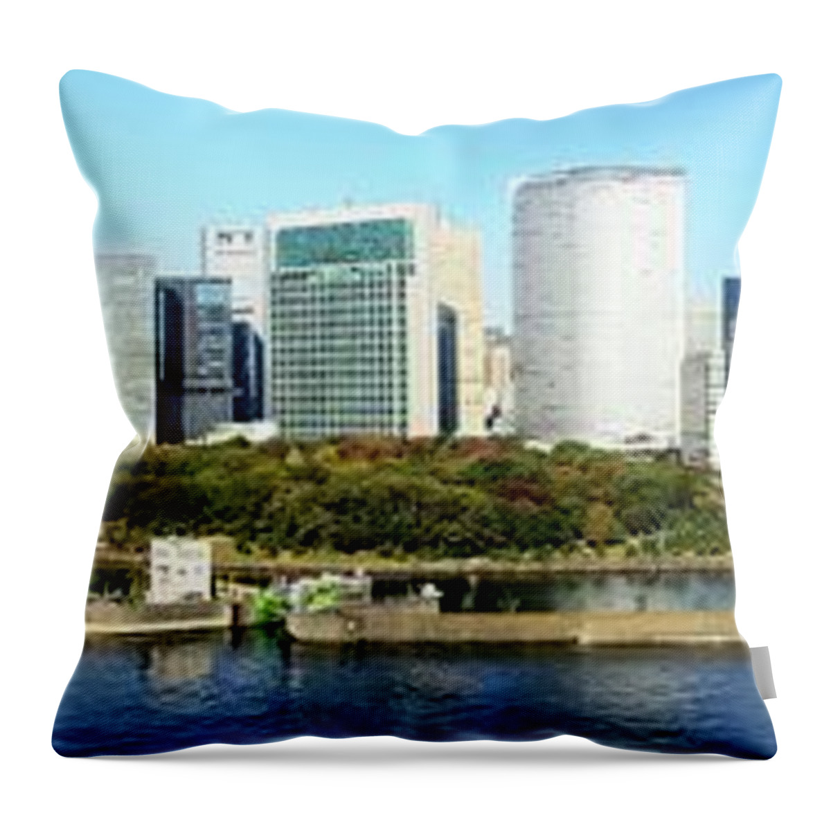 Tokyo Tower Throw Pillow featuring the photograph Tokyo Downtown Oversize Panorama by Vladimir Zakharov