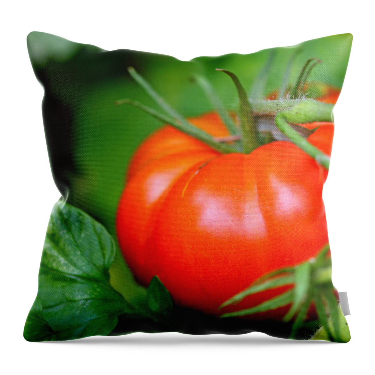 Food Throw Pillow featuring the photograph Tomato On The Vine by Debbie Oppermann