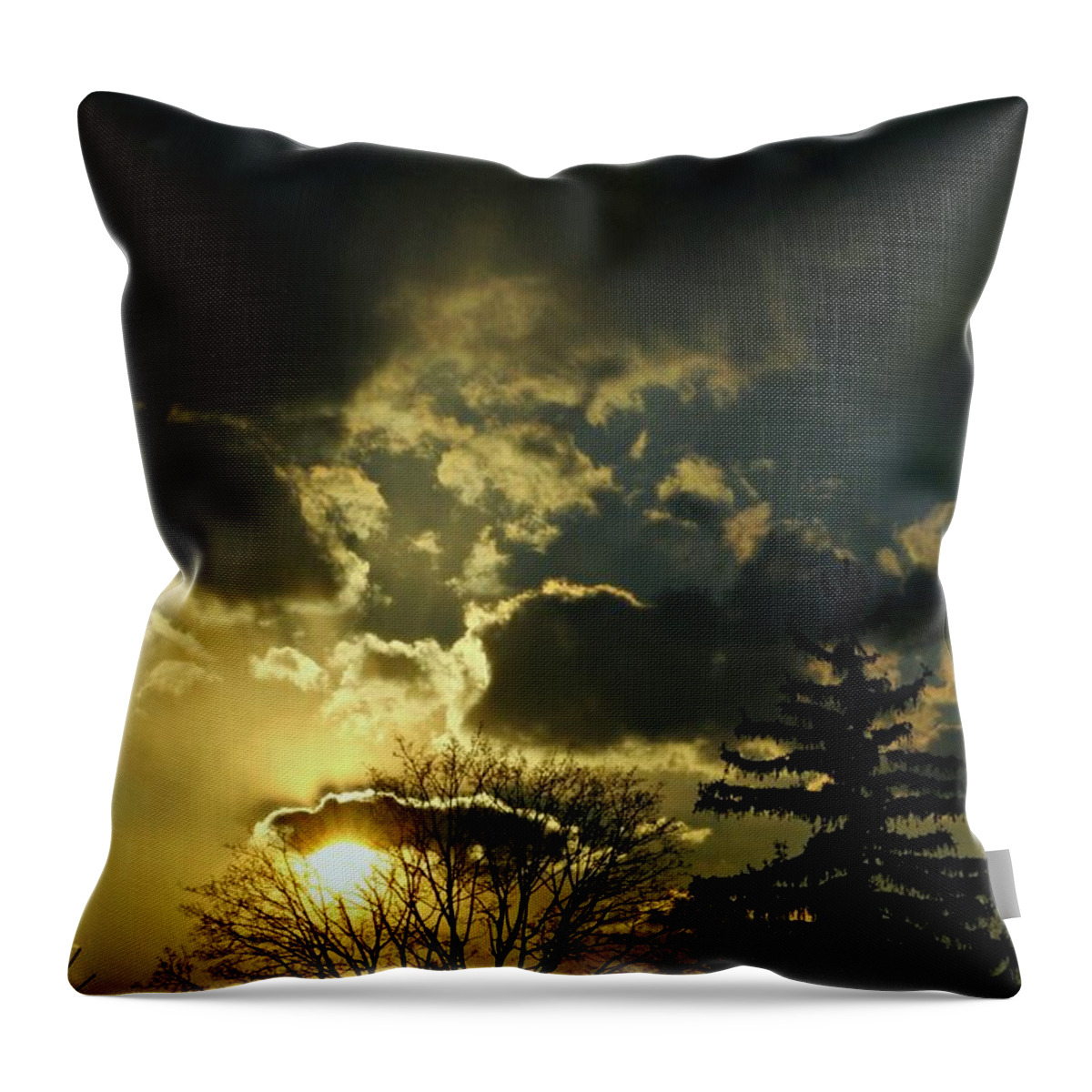 Miscellaneous Throw Pillow featuring the photograph Tonight I Celebrate by Diana Angstadt